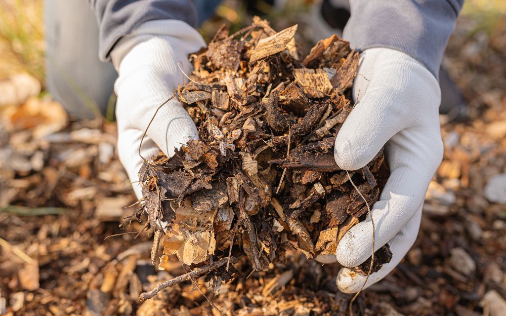 Spring garden cleanup