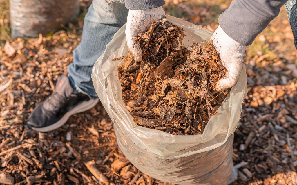 Cleaning garden with garden waste bags